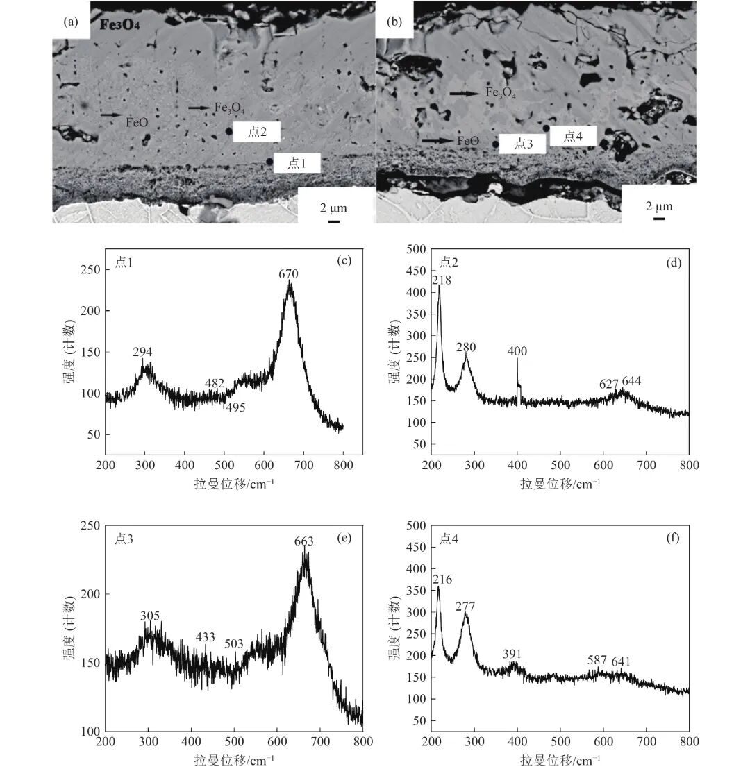 10.3969-j.issn.1000-6826.2025.07.1601-Figure1.jpg