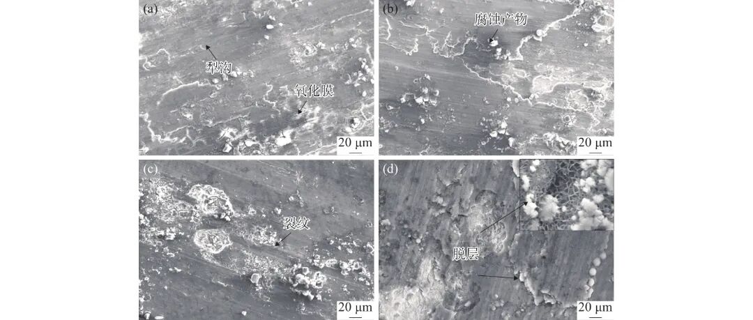 10.3969-j.issn.1000-6826.2026.04.1861-Figure4.jpg