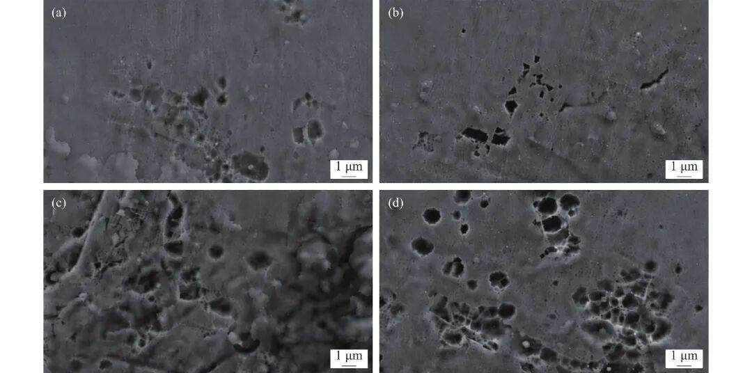 10.3969-j.issn.1000-6826.2026.04.2361-Figure6.jpg
