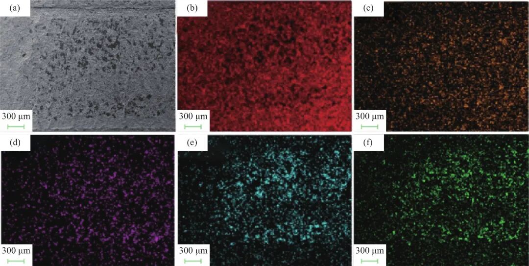10.3969-j.issn.1000-6826.2024.12.2301-Figure3.jpg
