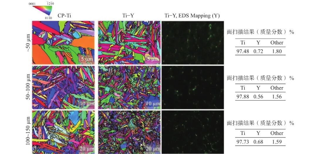 10.3969-j.issn.1000-6826.2025.02.1401-Figure3.jpg