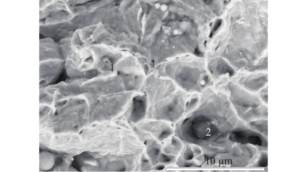 10.3969-j.issn.1000-6826.2025.01.2001-Figure3.jpg