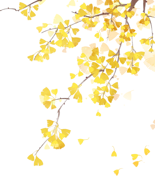 汕头博德眼科医院