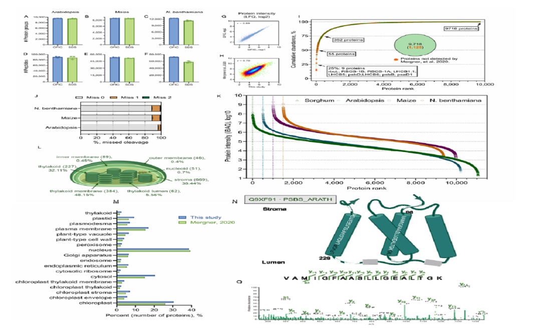 重大突破：“植物蛋白質(zhì)組學(xué)