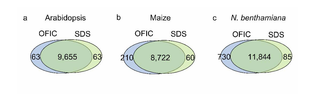 重大突破：“植物蛋白質(zhì)組學(xué)