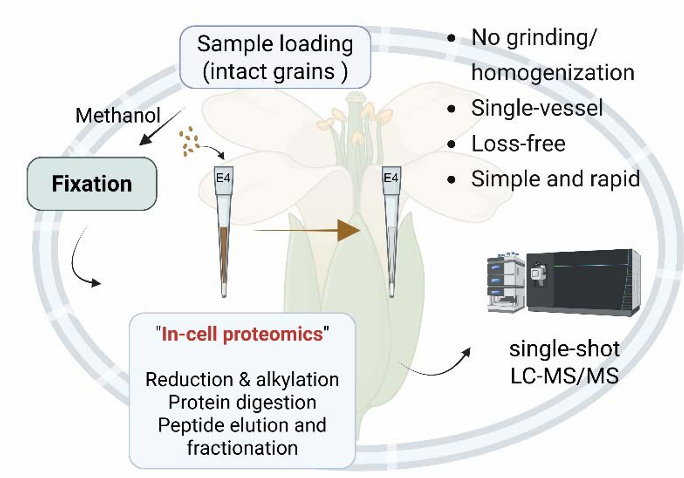 重大突破：“植物蛋白質(zhì)組學(xué)