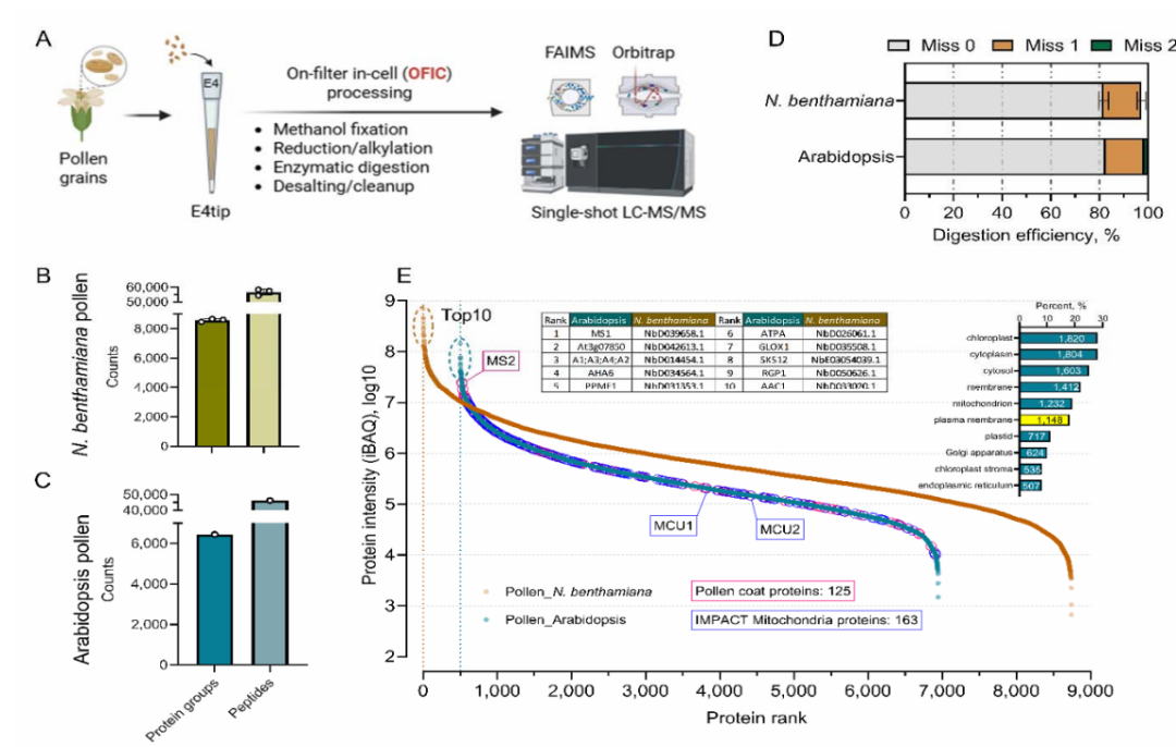 重大突破：“植物蛋白質(zhì)組學(xué)
