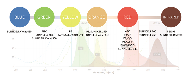 破局而出！尚恩流式抗體，國產(chǎn)替代新選擇！