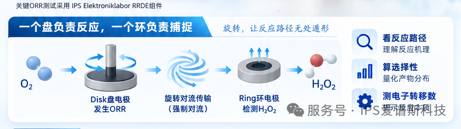 “IPS RRDE  爱谱斯旋转环盘电极，让反应路径“看得见