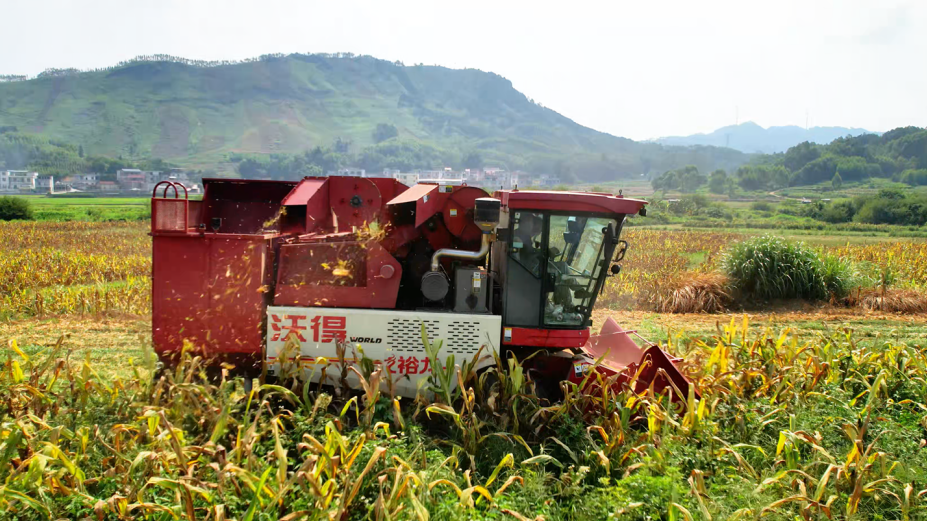 用户说裕龙：沃得“新利器”助力跨区“老把式”驰骋玉米地