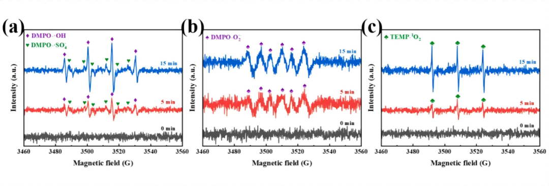 突破复合污染治理难题！国仪SEM+EPR助力无定形铜机制解析研究