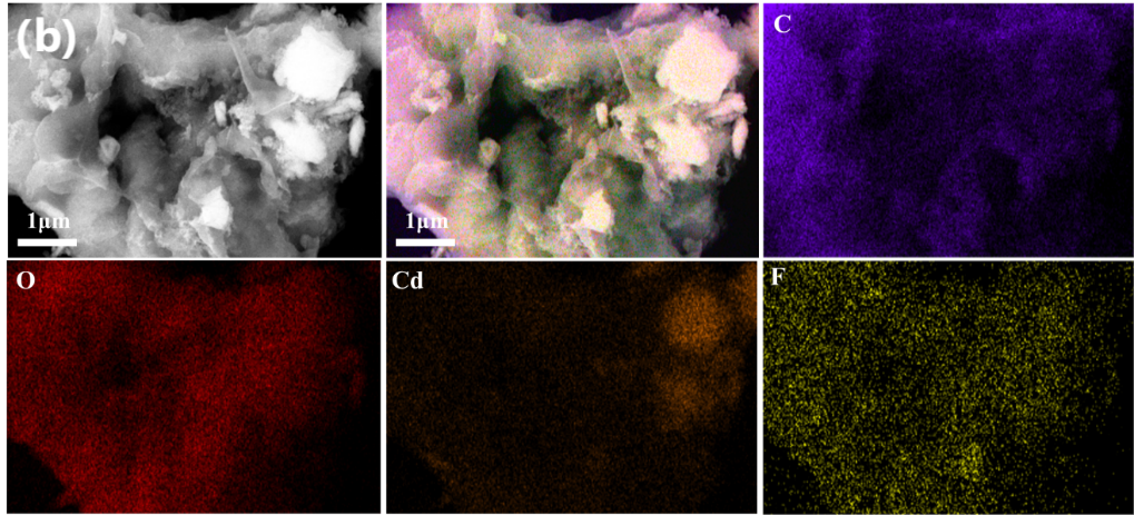 突破复合污染治理难题！国仪SEM+EPR助力无定形铜机制解析研究
