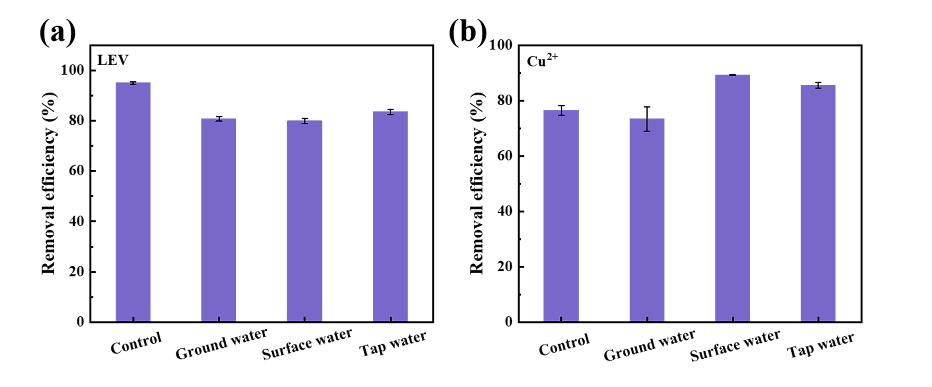 突破复合污染治理难题！国仪SEM+EPR助力无定形铜机制解析研究