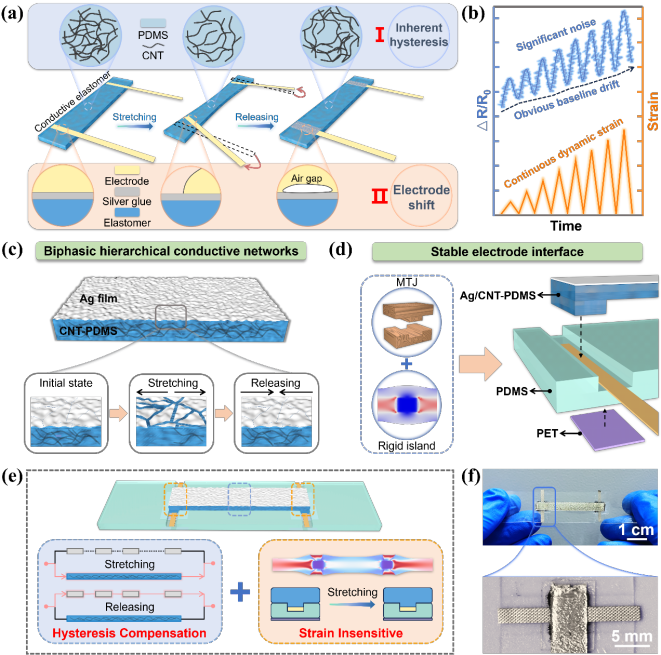 ?國儀電鏡助力！大連理工團隊研發(fā)超靈敏、高穩定應變傳感器