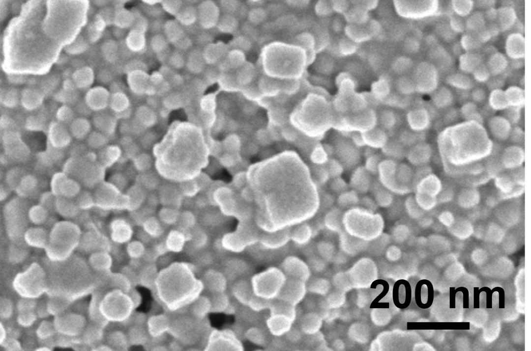 ?國儀電鏡助力！大連理工團隊研發(fā)超靈敏、高穩定應變傳感器