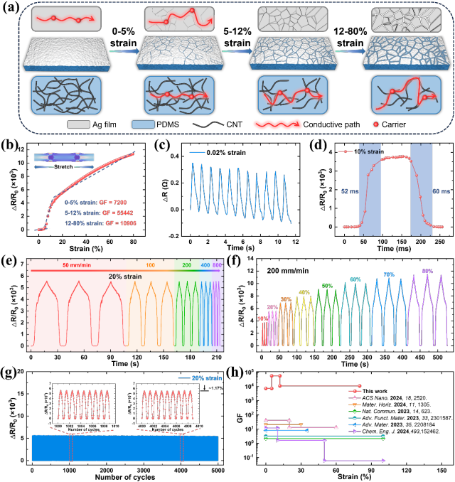 ?國儀電鏡助力！大連理工團隊研發(fā)超靈敏、高穩定應變傳感器