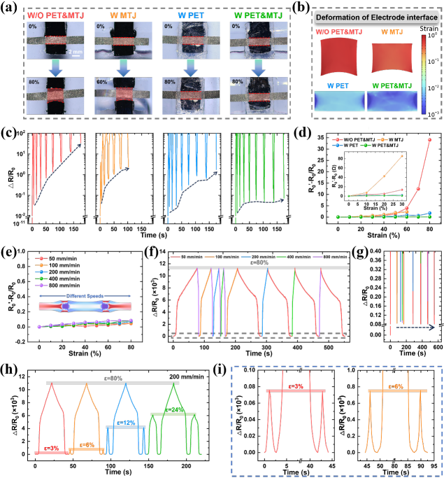 ?國儀電鏡助力！大連理工團隊研發(fā)超靈敏、高穩定應變傳感器