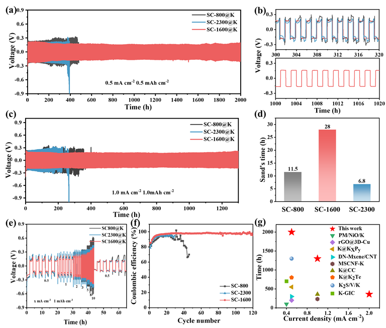 中國科大余彥教授團隊《AM》 | 國儀電鏡助力鉀金屬負極在不同循環(huán)圈數后的微觀(guān)形貌分析