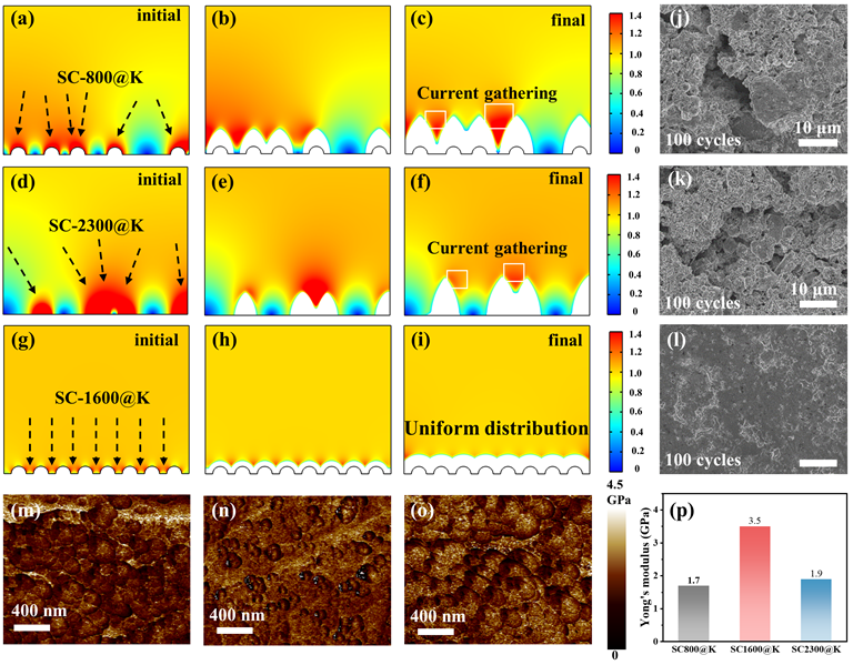 中國科大余彥教授團隊《AM》 | 國儀電鏡助力鉀金屬負極在不同循環(huán)圈數后的微觀(guān)形貌分析