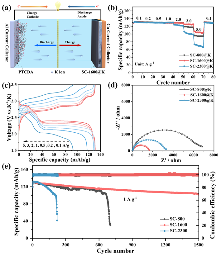 中國科大余彥教授團隊《AM》 | 國儀電鏡助力鉀金屬負極在不同循環(huán)圈數后的微觀(guān)形貌分析