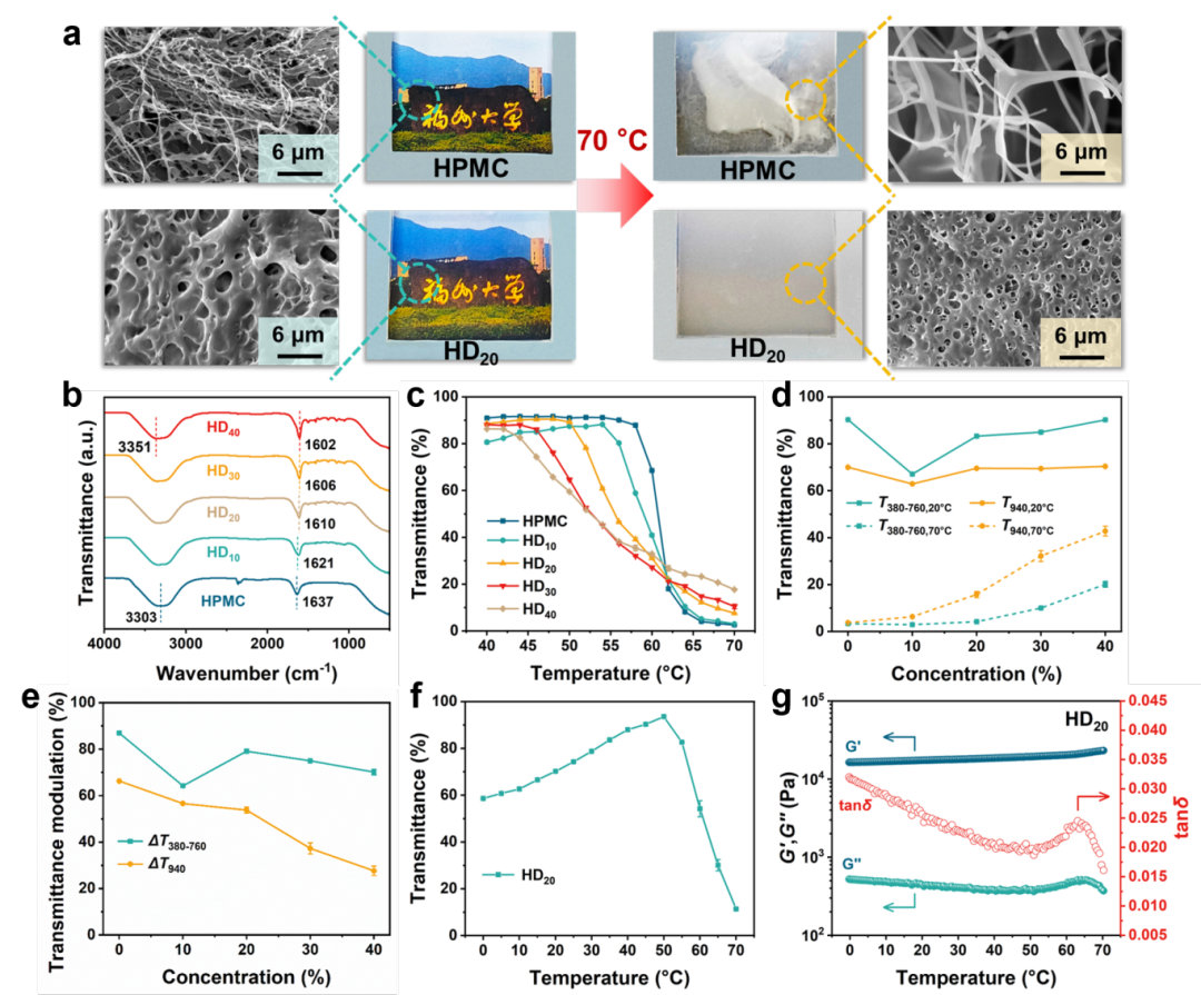 國儀電鏡助力復合水凝膠研究，為智能窗研發(fā)提供技術(shù)支撐
