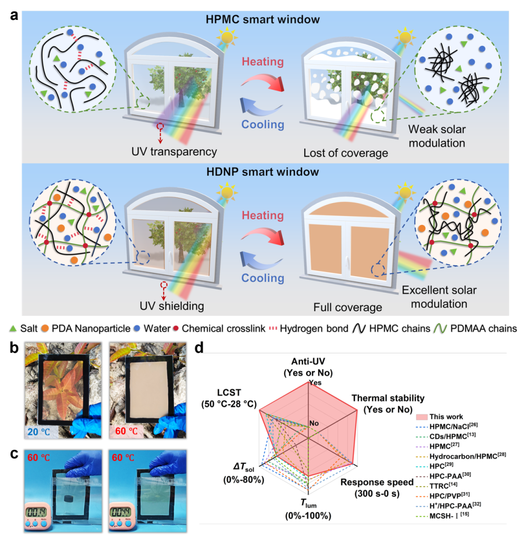 國儀電鏡助力復合水凝膠研究，為智能窗研發(fā)提供技術(shù)支撐