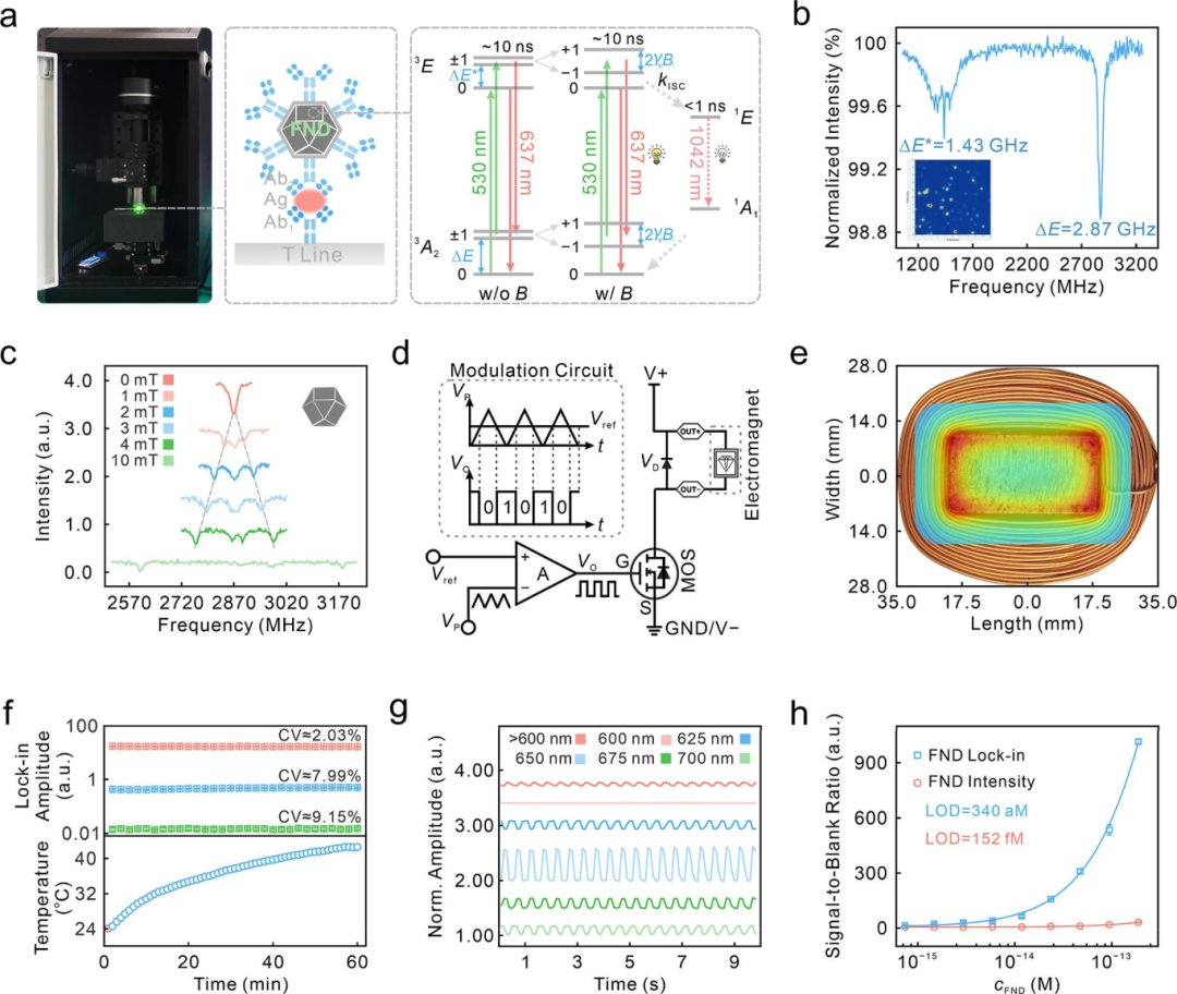 從生物醫學到海洋地質研究，量子鉆石系列產品助力三大領域科研突破