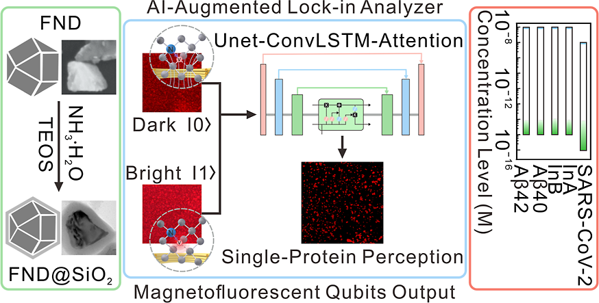 從生物醫學到海洋地質研究，量子鉆石系列產品助力三大領域科研突破