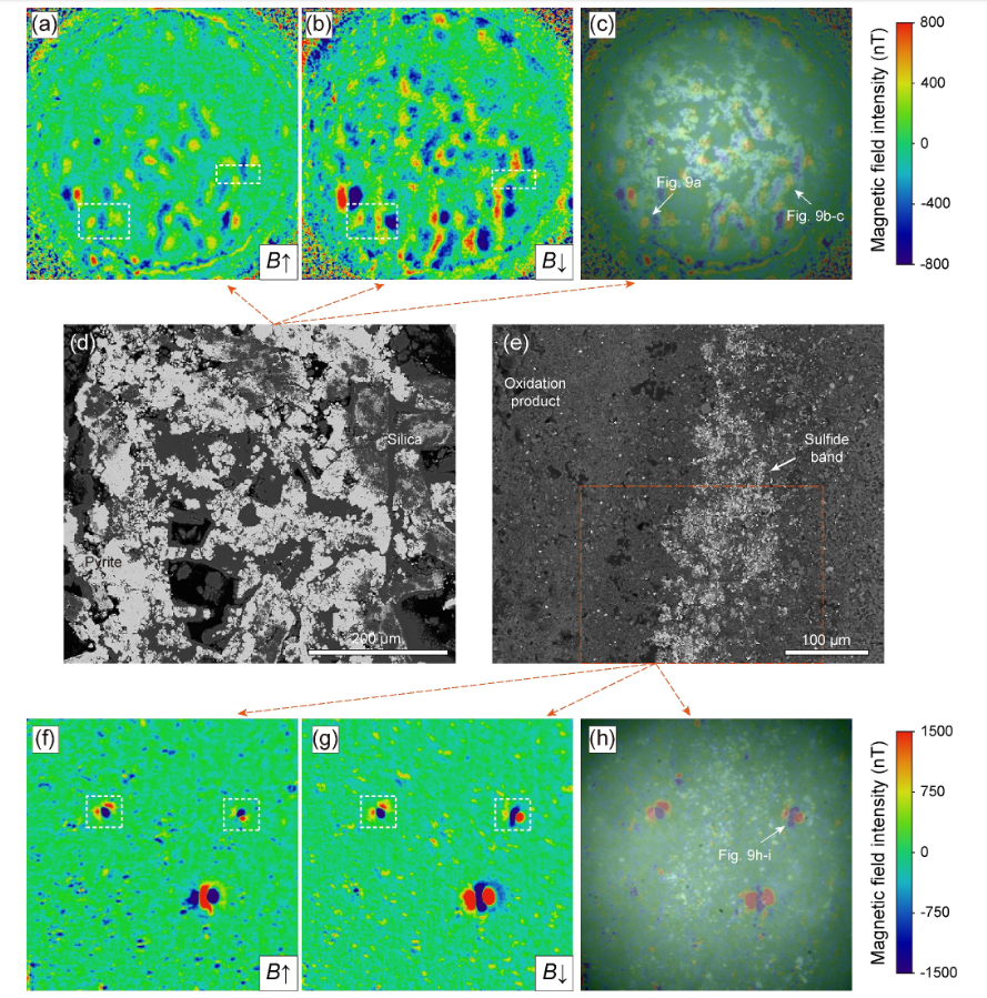 從生物醫學到海洋地質研究，量子鉆石系列產品助力三大領域科研突破