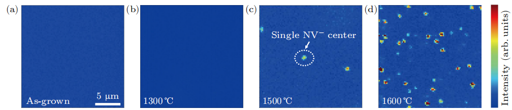 從生物醫學到海洋地質研究，量子鉆石系列產品助力三大領域科研突破