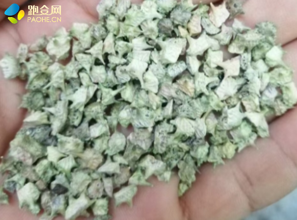 产新潮来袭！亳州上涨还能撑多久？