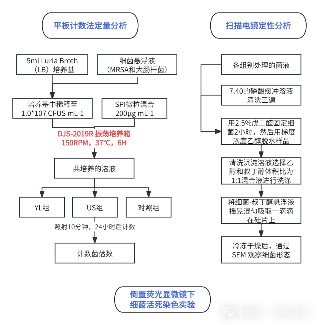 搖搖有話說 | 振蕩培養(yǎng)箱在體外抗菌活性實驗中的應(yīng)用