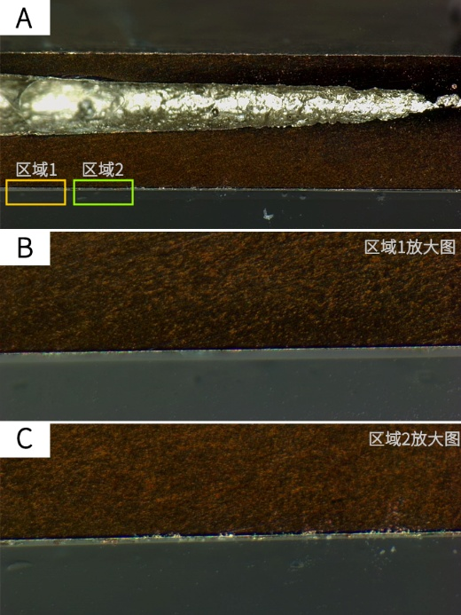 从Leica EM TXP（精研一体机）出发，告别传统金相制样“慢、繁、差“三大难题