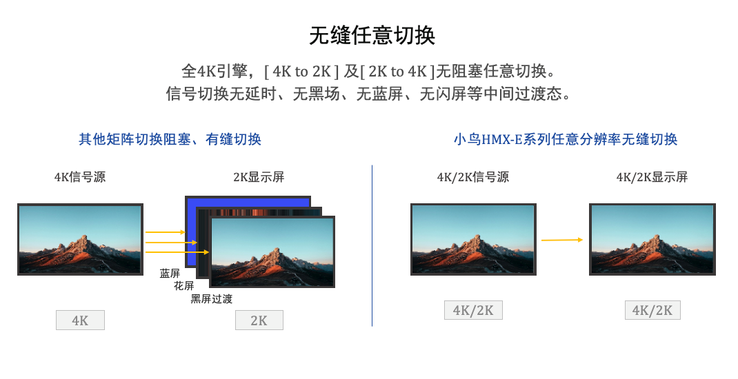 小鸟科技助力擘画四川烟草培训新图景