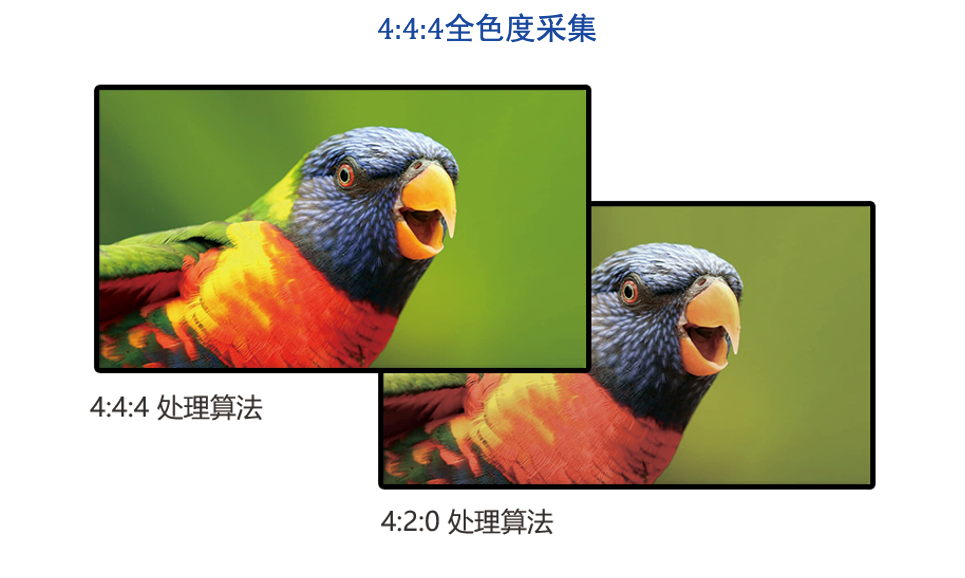 小鸟科技助力擘画四川烟草培训新图景