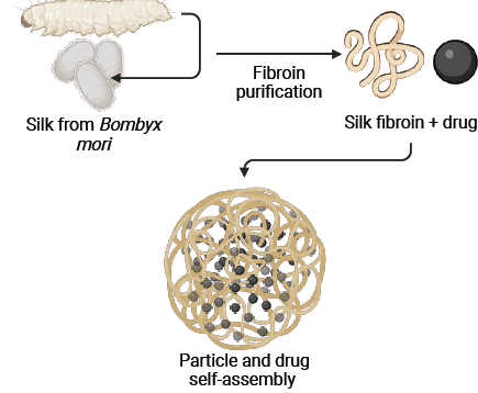 550A 巔峰上限！NanoDrop 讓高濃度樣品檢測，告別稀釋煩惱