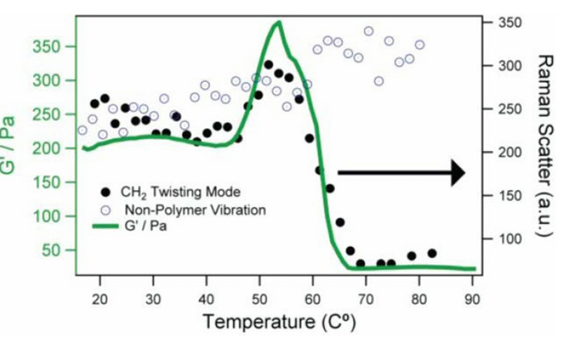 流變儀和拉曼光譜儀聯(lián)用，表征材料相變新途徑