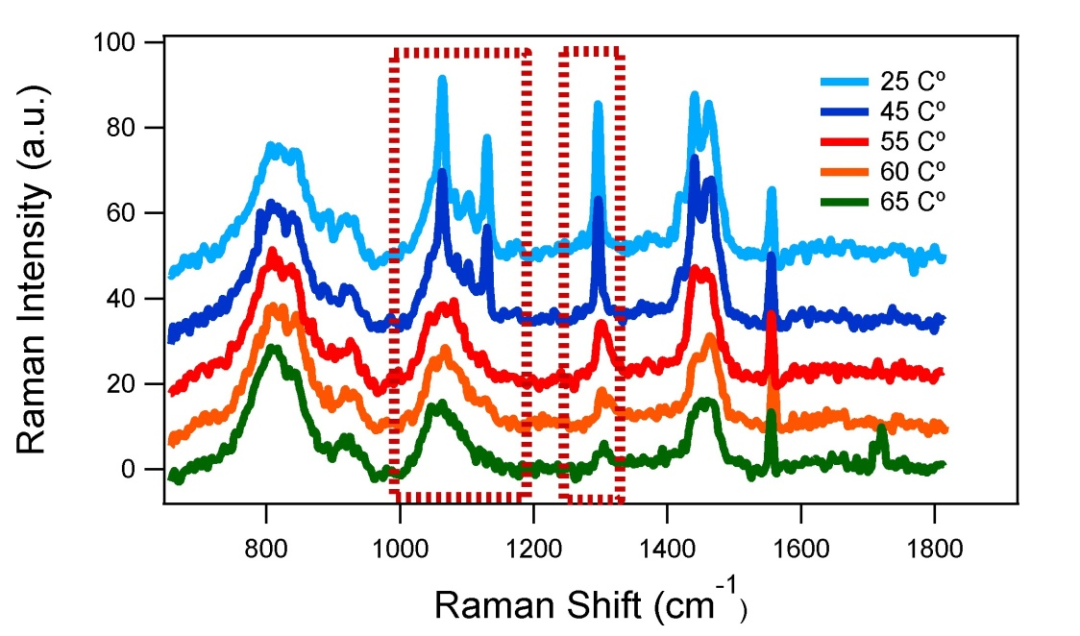 流變儀和拉曼光譜儀聯(lián)用，表征材料相變新途徑