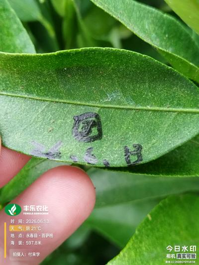 图片6