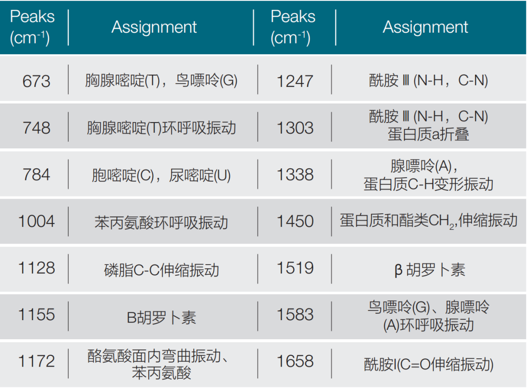 賽默飛拉曼在食品檢測中的應用