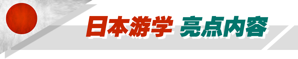 亮点.png