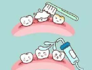 ems洁牙机怎么用《解锁舒适、温和洁牙新体验！EMS首选》_https://www.jmylbn.com_新闻资讯_第6张