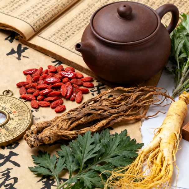 透視生命結(jié)構(gòu)之美，共探電子顯微新篇章