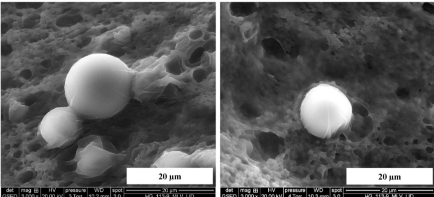掃描電鏡首入藥典！賽默飛電鏡助力藥企研發(fā)-環(huán)掃篇