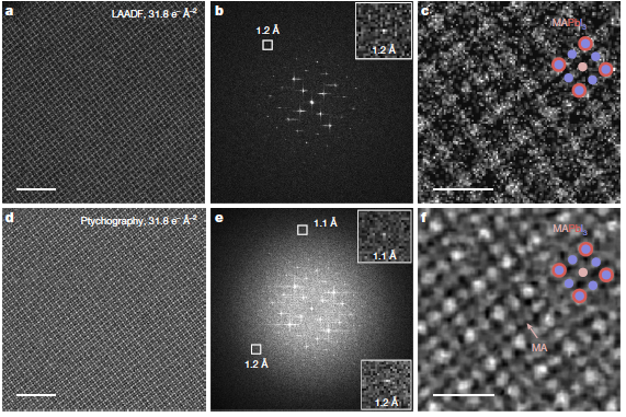 《Nature》最新研究集錦，看我們的用戶如何引領(lǐng)電鏡科技