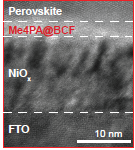 《Nature》最新研究集錦，看我們的用戶如何引領(lǐng)電鏡科技