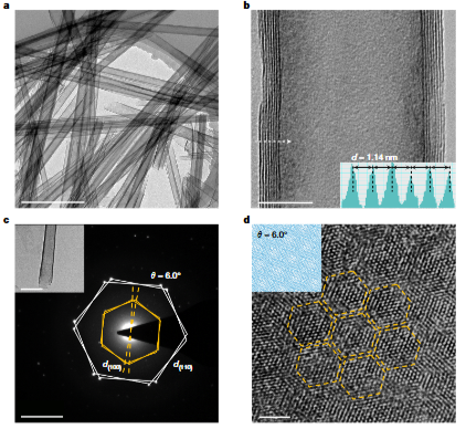 《Nature》最新研究集錦，看我們的用戶如何引領(lǐng)電鏡科技