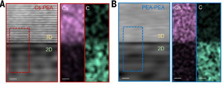 頂刊速遞22丨《Science》最新研究集錦，看我們的用戶如何引領電鏡科技