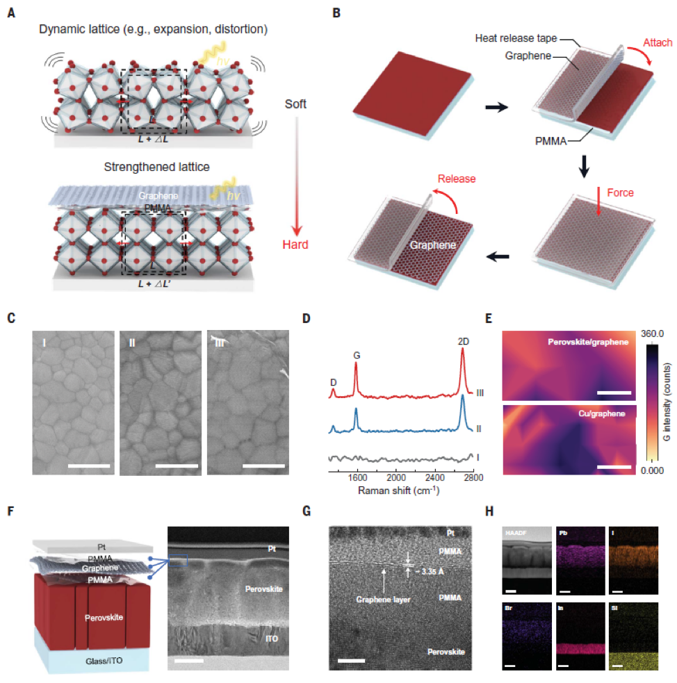 頂刊速遞 《Science》最新研究集錦，看我們的用戶如何帶領(lǐng)電鏡科技