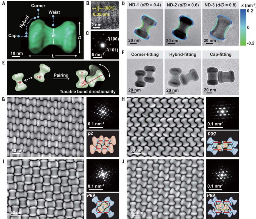 頂刊速遞-《Science》最新研究集錦，看我們的客戶如何帶領(lǐng)電鏡科技